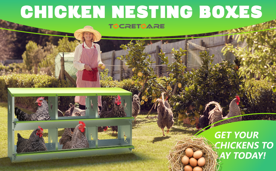 Tocretoare Nesting Boxes, 6 Hole Chicken Nesting Box for