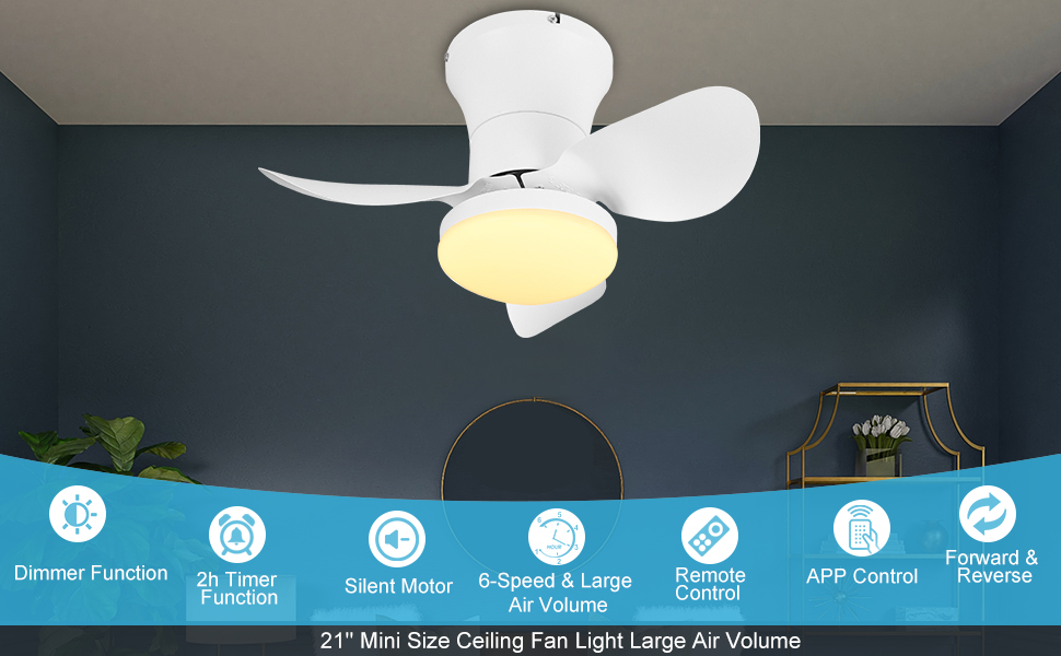 Ohniyou 21 inch Ceiling Fan with Lights and Remote,Flush Mount Ceiling