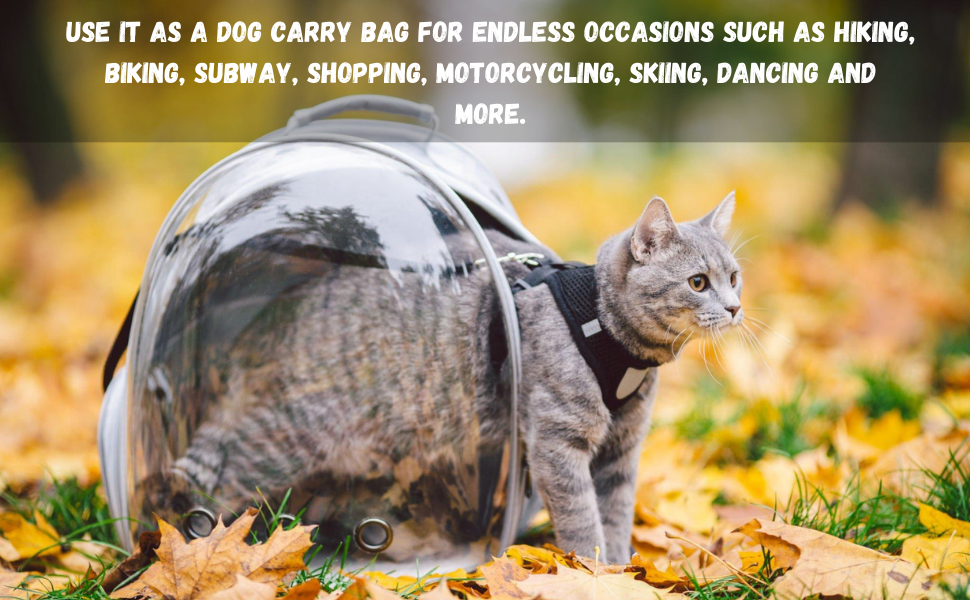 07a8650c 91a1 4531 95aa 035ff160019c. CR0,0,970,600 PT0 SX970 V1 Breathable Pet Carriers Bags for Travelling