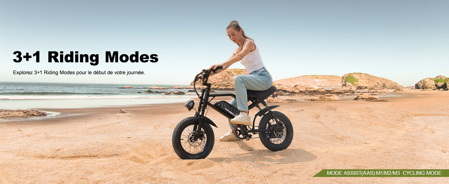 ebike