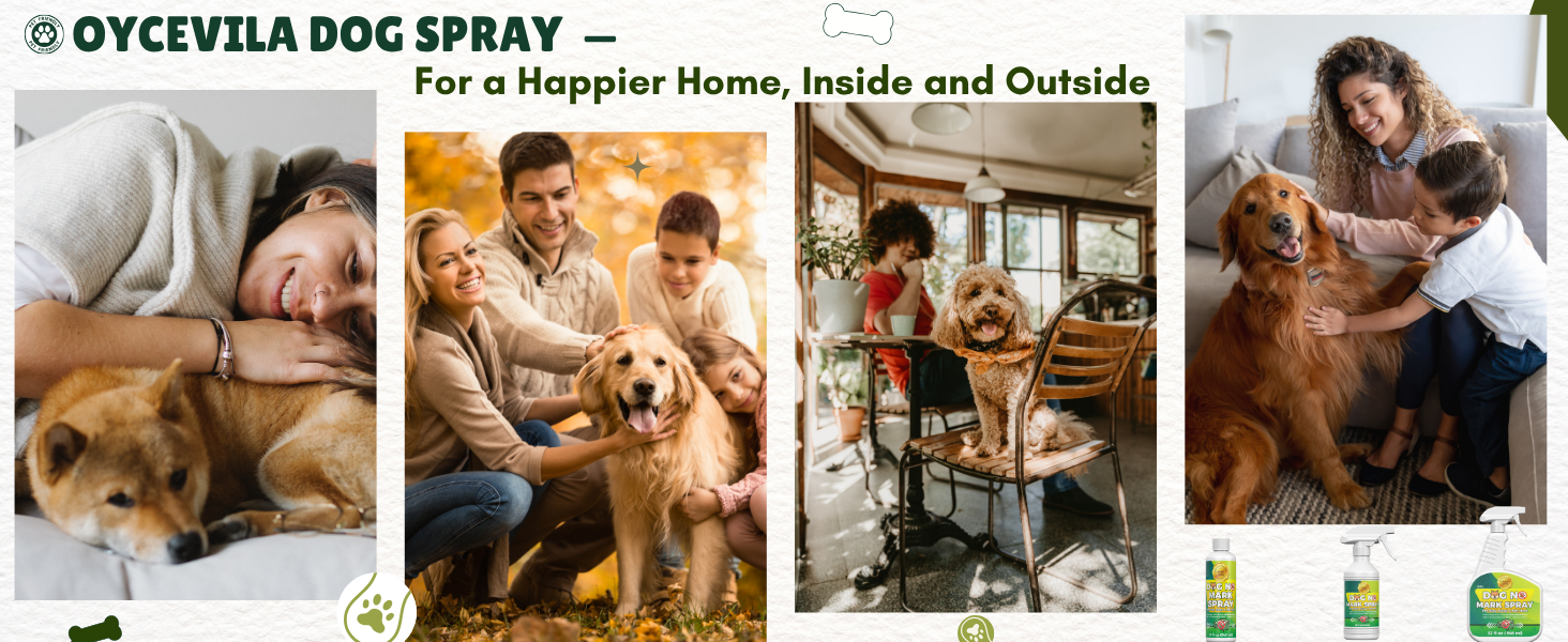 potty training spray for dogs