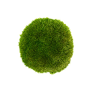 Small manufacture image 9