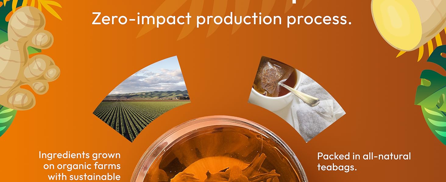 ginger peppermint probiotic tea bags mint organic nausea relief chamomile lemon probiotic gengibre