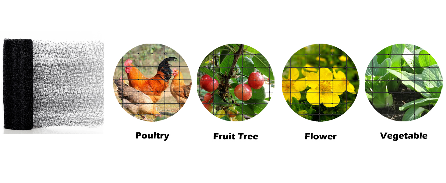 Large manufacture image 4