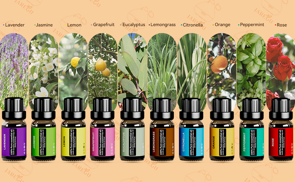 Large manufacture image 6