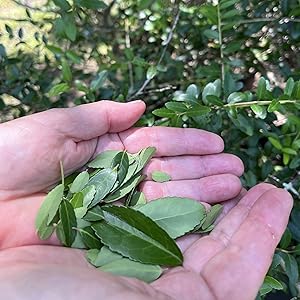 Small manufacture image 2