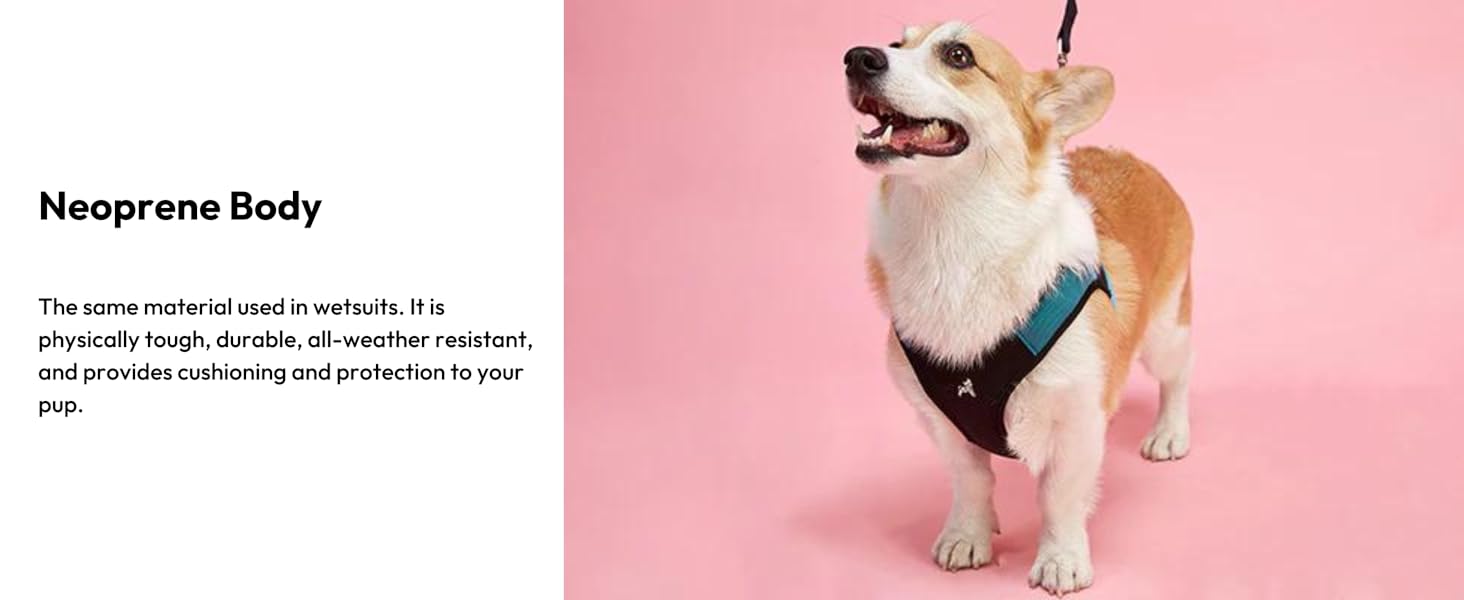 04602 Neoprene Body Easy Fit