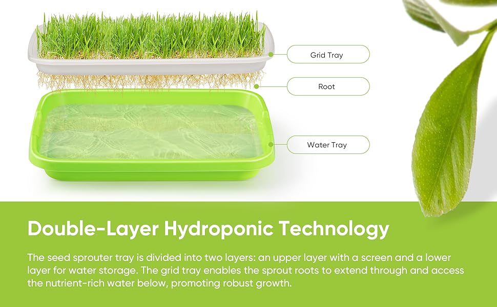 Green Seed Sprouter Trays with Lid