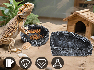 bearded dragon food and water dish
