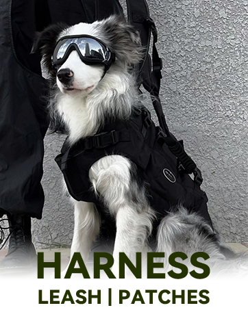 dog harness