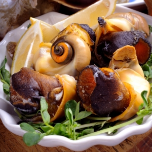 Today Gourmet Conch
