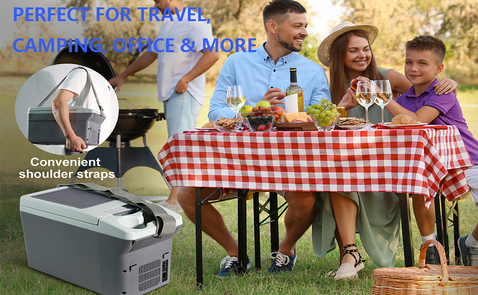 12L/Quart Electric Cooler 