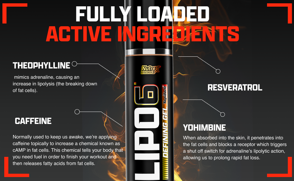 Lipo 6
