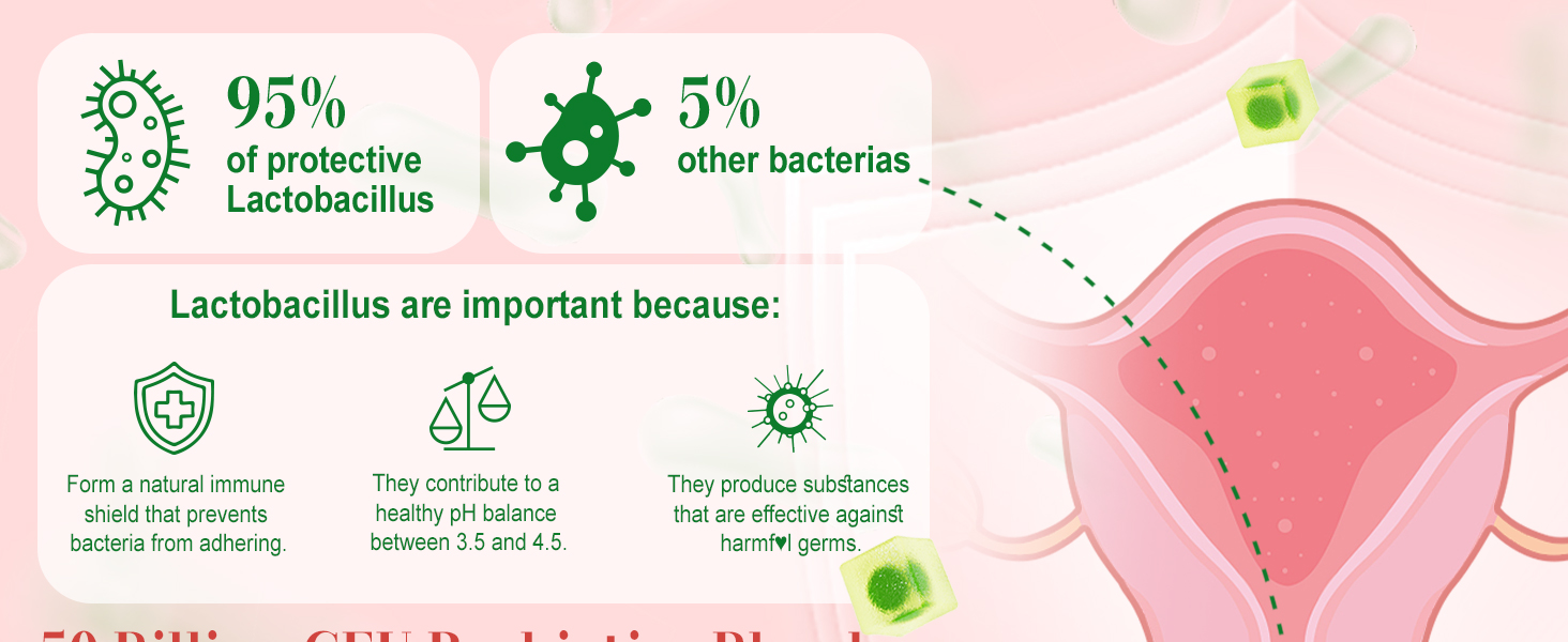 yeast lactobacillus acidophilus rhamnosus bacillus coagulans fermentum