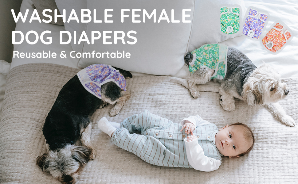 Bella & Pal Dog Nappies Female, Reusable Dog Period Pants in Season, Washable Dog Nappy for