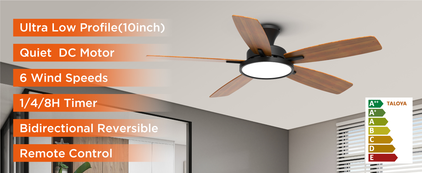ceiling fans with lights