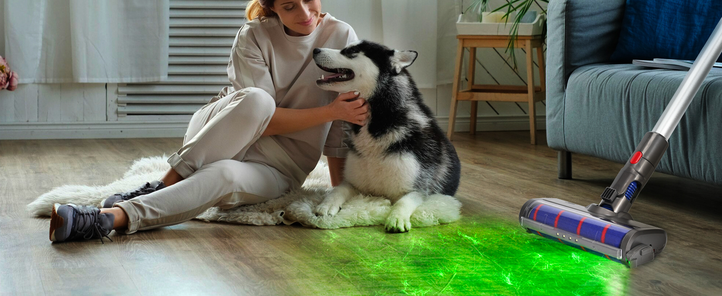 Families with Pets vacuum laser attachment
