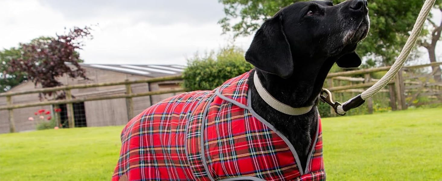 Ancol Heritage Dog Coat in Red Tartan - Fleece Lined Pet Jacket with Chest Protector and Zipped Harness Hole - Reflective Edging Puppy Apparel - XS 13 aplus content image