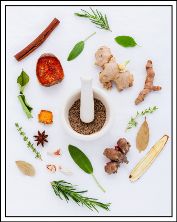 Spices and Seasonings Alpi Nature