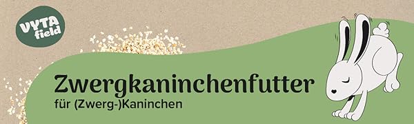 das Wort „Löwenzahn“ in schwarzen Buchstaben auf grünem Hintergrund