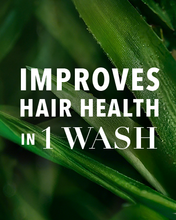Improves hair health in 1 wash