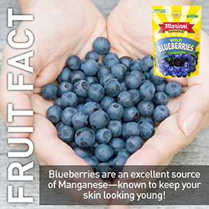 Possible Health Benefits of Wild Blueberries