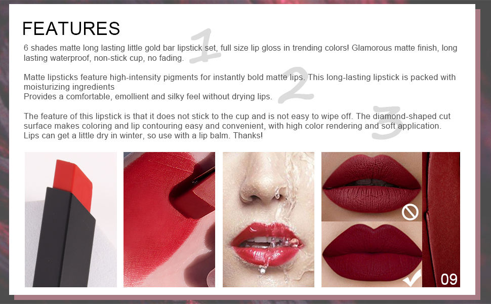 DNM 6 Colors Red Matte Lipstick Pack