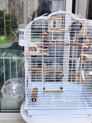 Bañera para pájaros, bañera para pájaros para jaula, accesorio para comedero para pájaros