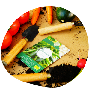 Bio Gemüse Samen Set von Loveplants