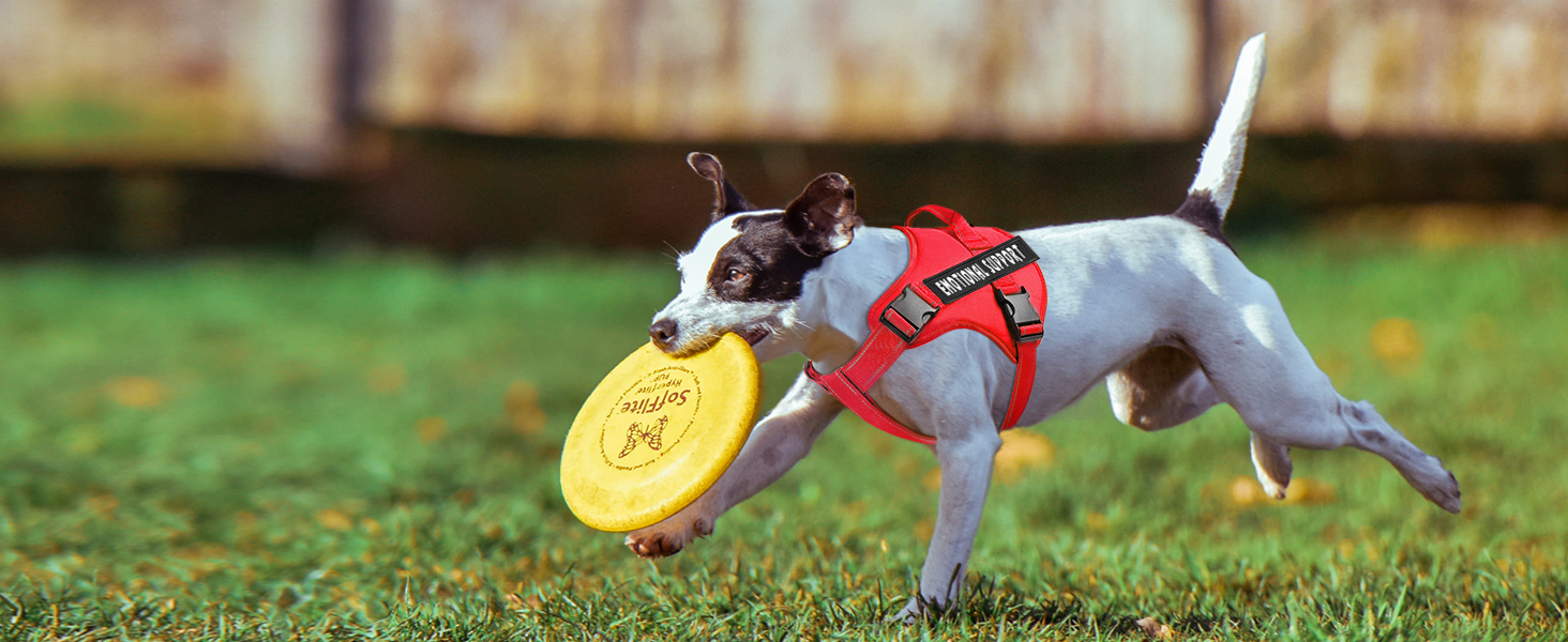 comfortable vest harness- all day wear