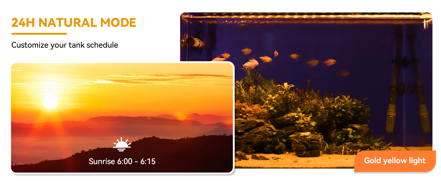 fish tank light
