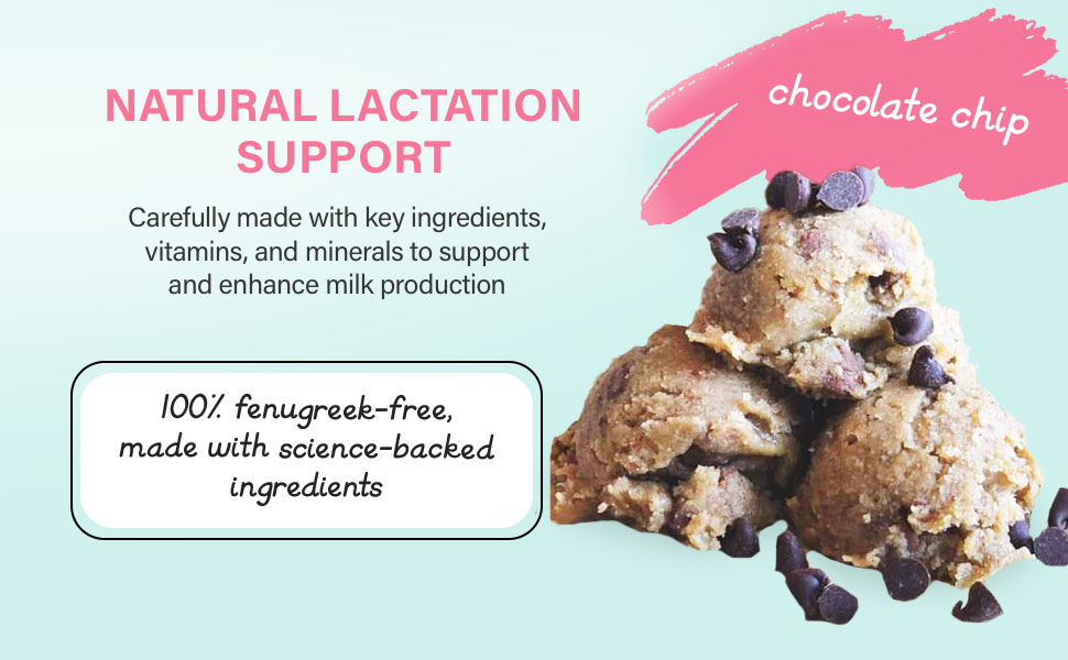 COOKIES, THEN MILK No Bake Lactation Cookies Dough