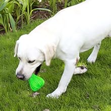 Este juguete duradero para perros puede ayudar a reducir la ansiedad del perro y limpiar los dientes del perro