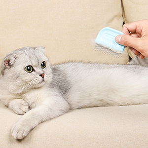 2-IN-1 DETANGLER COMB