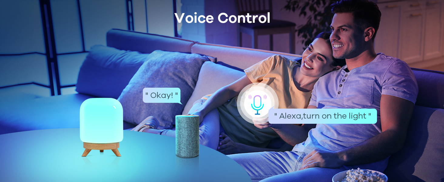 table lamp alexa