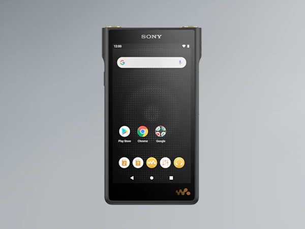 Sony NW-WM1AM2 - Walkman Digital Music Player with High-Resolution
