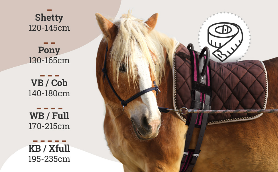 Bauchgurt für Pferde mit Griff