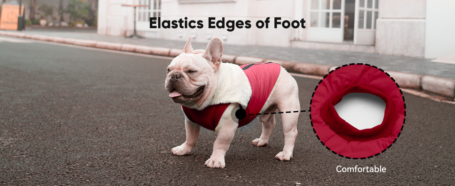 Extra Warm Medium Dog Jacket in Winter Doggie Coats with Hooded