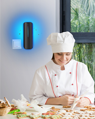 fly trap indoor electronic