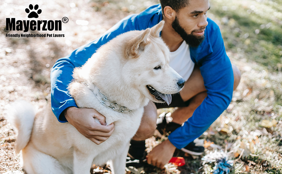 Dog Prong Collar, Classic Stainless Steel Choke Pinch Dog Chain Collar