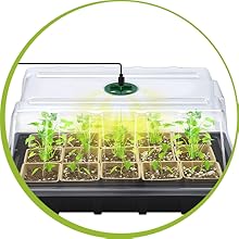 seed starter tray
