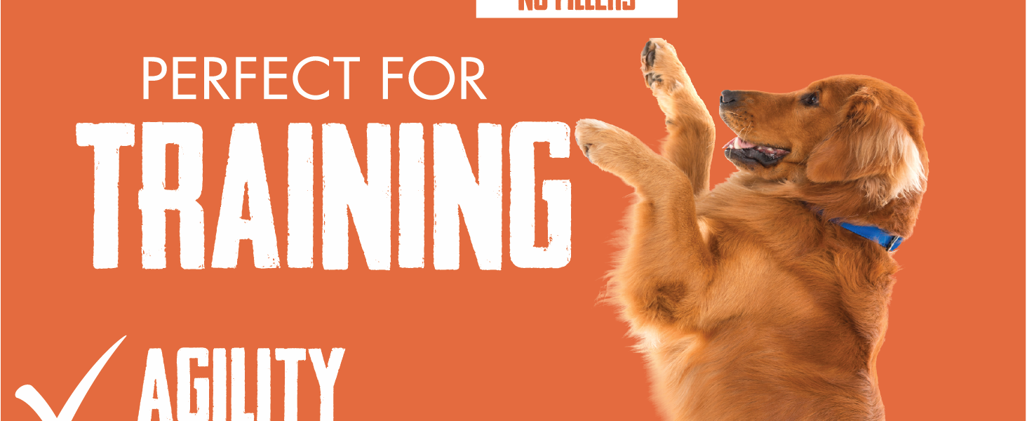 bully boys dog treats