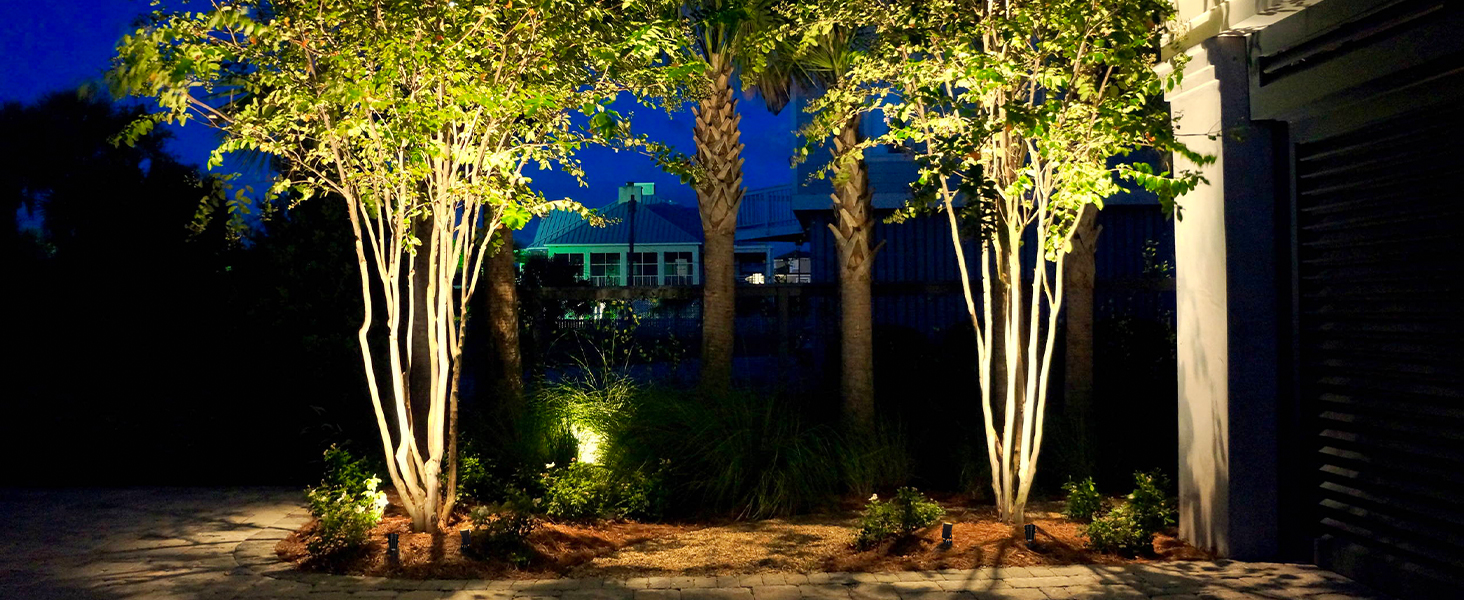 landscape lighting