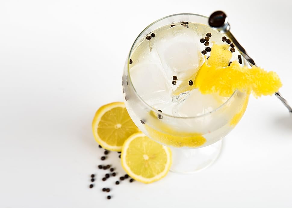 Brilliant Infusion Gin Botanicals Set Schnell & Lecker 6x Gin Tonic