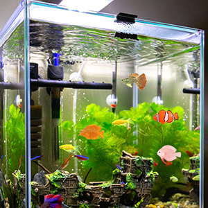 Small manufacture image 2