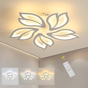 modern led ceiling light