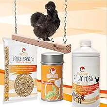 Seidiges Huhn auf einer hölzernen Barschschaukel. Drei Geflügelpflegeprodukte werden ausgestellt: Futterbeutel, Behälter für Nahrungsergänzungsmittel und Flüssigkeitsflasche mit
