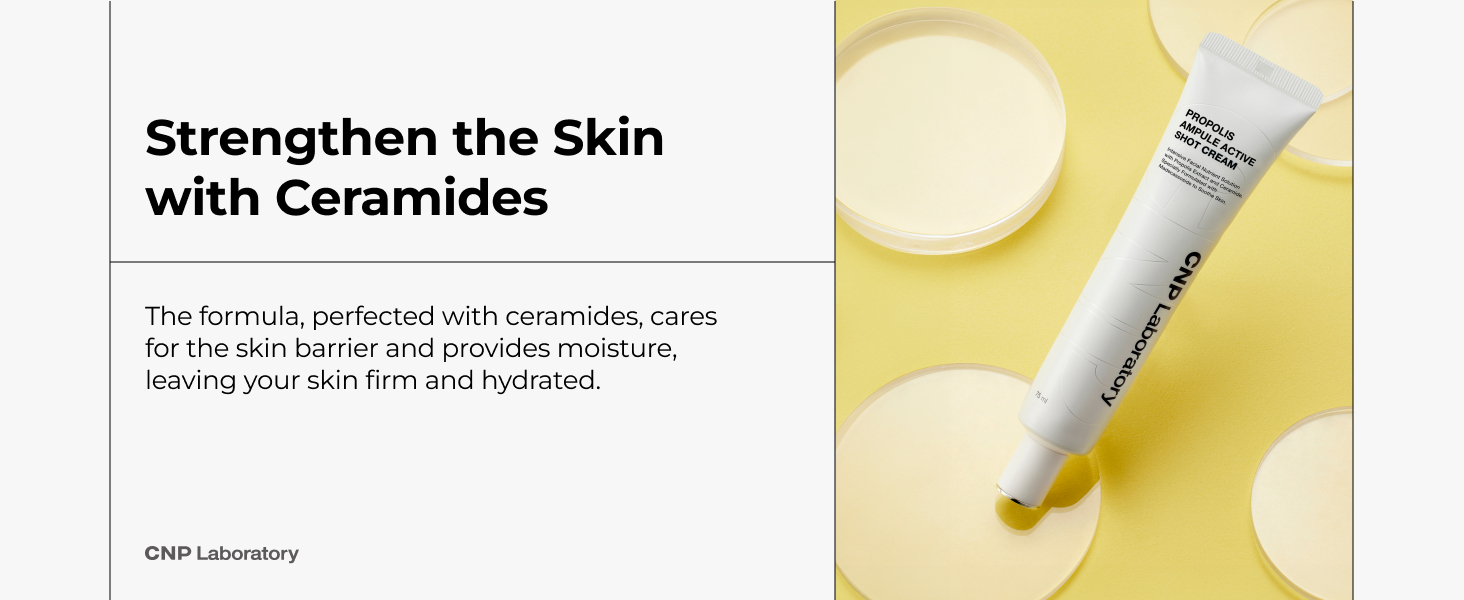 CNP Ampule Shot Cream 