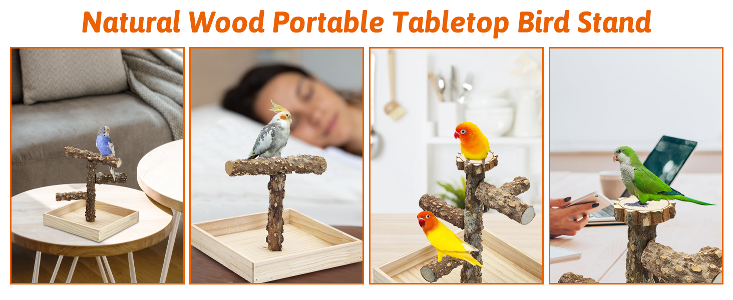 This portable perch lets your feathered friend stay close during work, relaxation, even outside