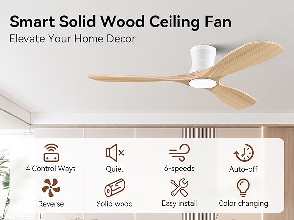 ceiling fans